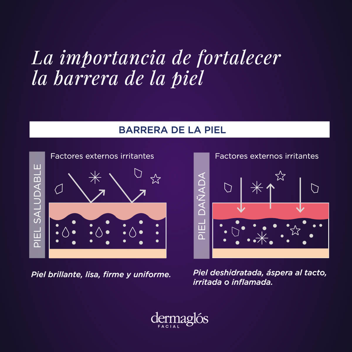 DERMAGLOS - FACIAL SERUM ECTOINA X 30 ML - Imagen 6